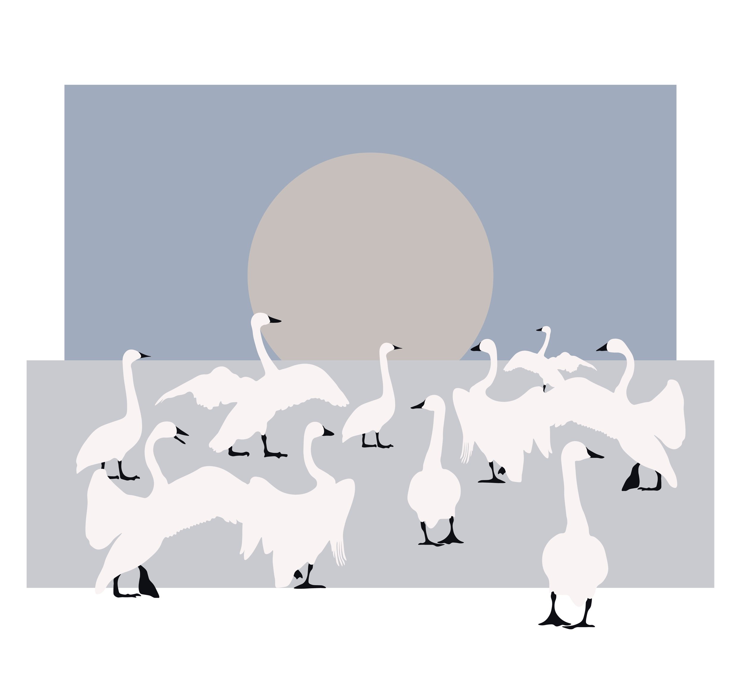 Swans on Ice2-01.jpg
