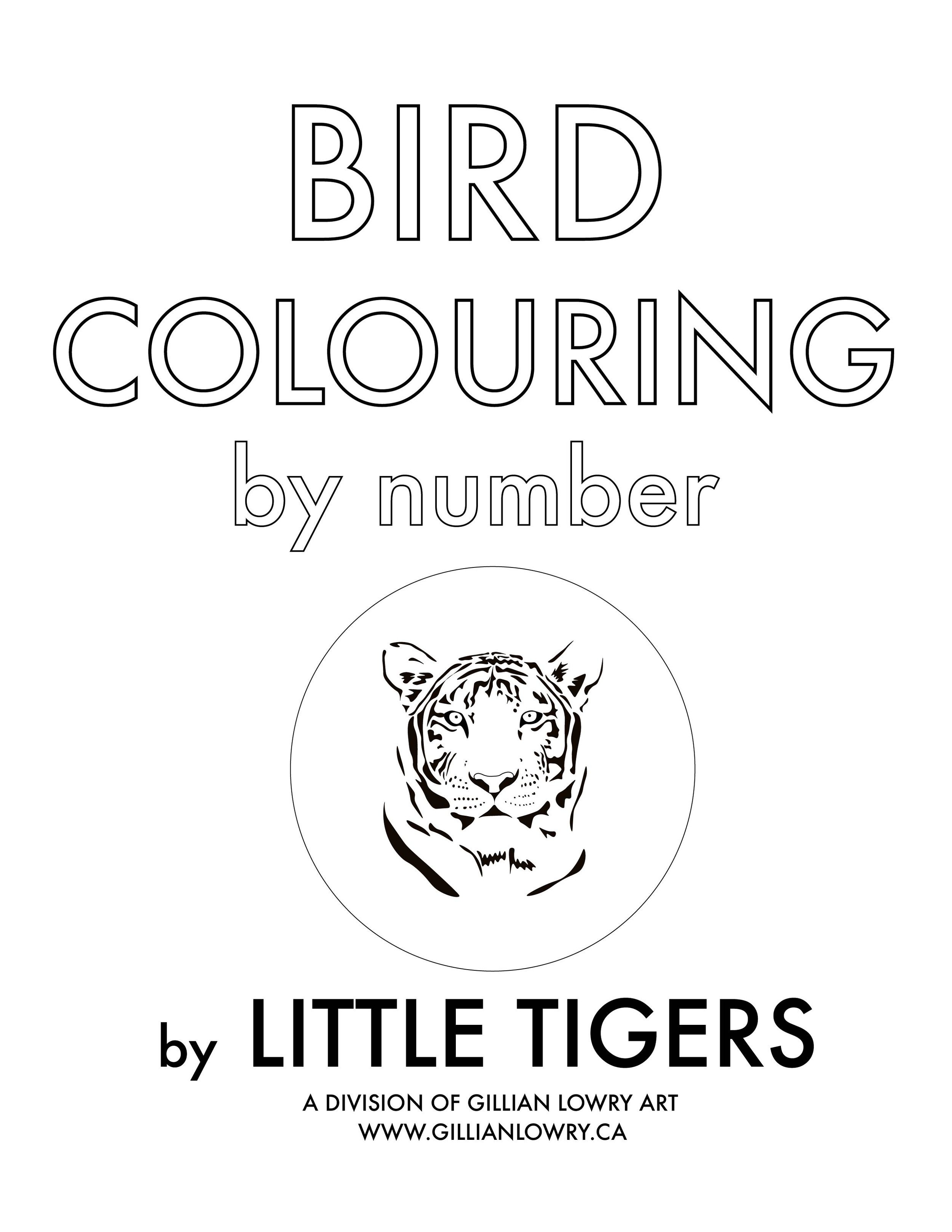 Cover_BirdColouringBookLittleTigers.jpg