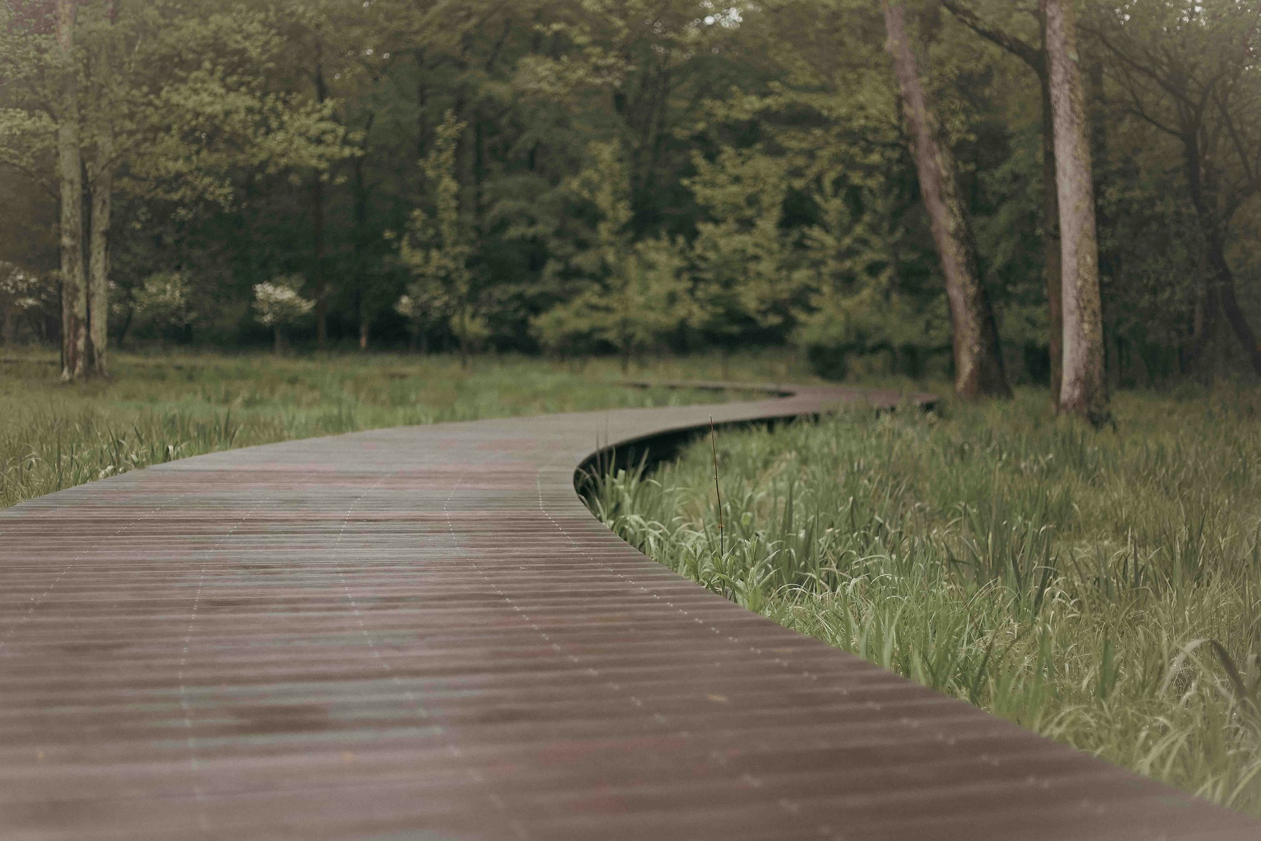 Where are you staying?