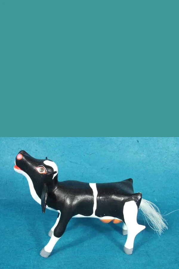 Black and white cow, view 1
