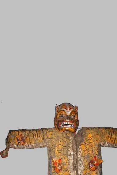 Tigre costume with mask, View 4
