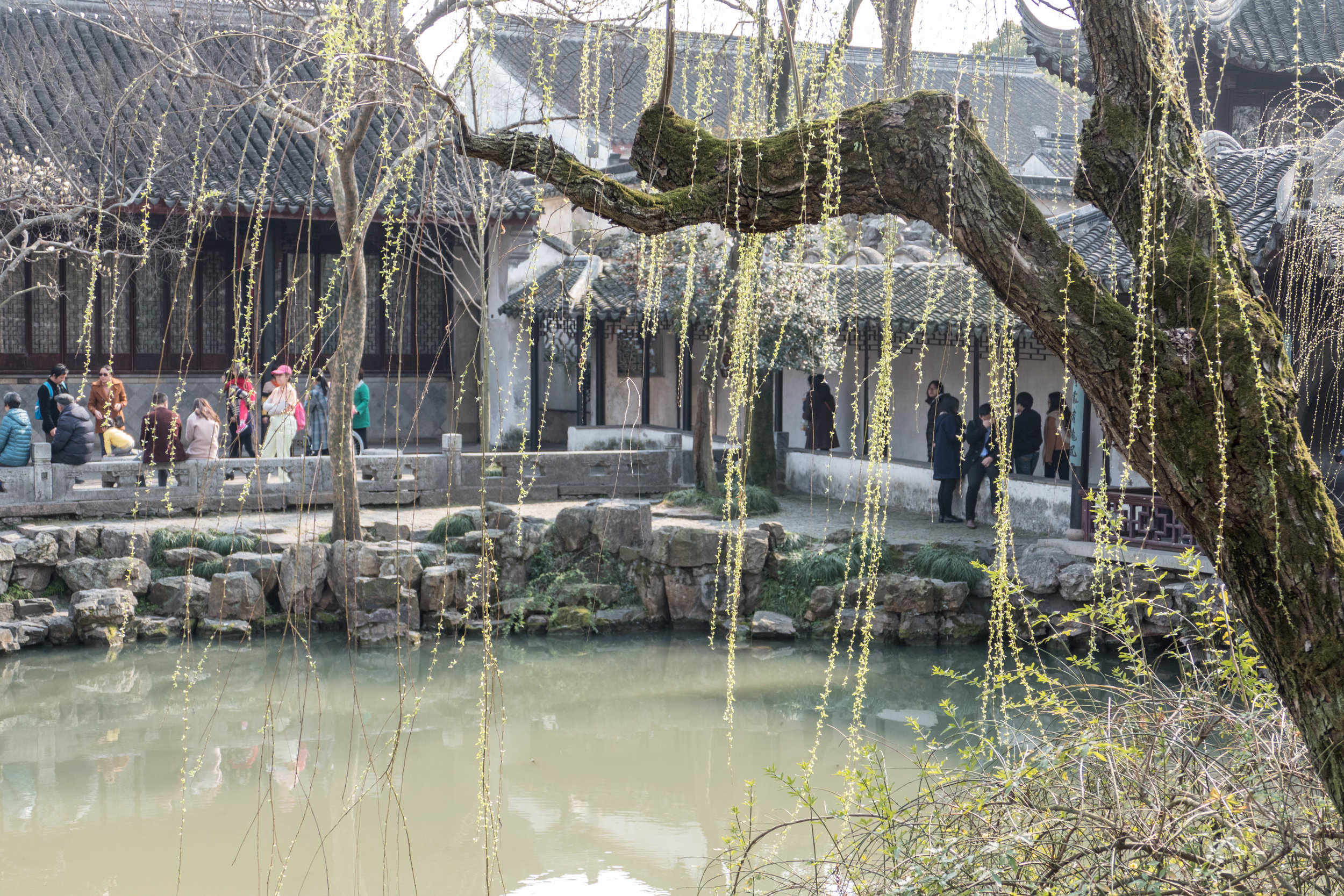 At the Humble Administrator’s Garden