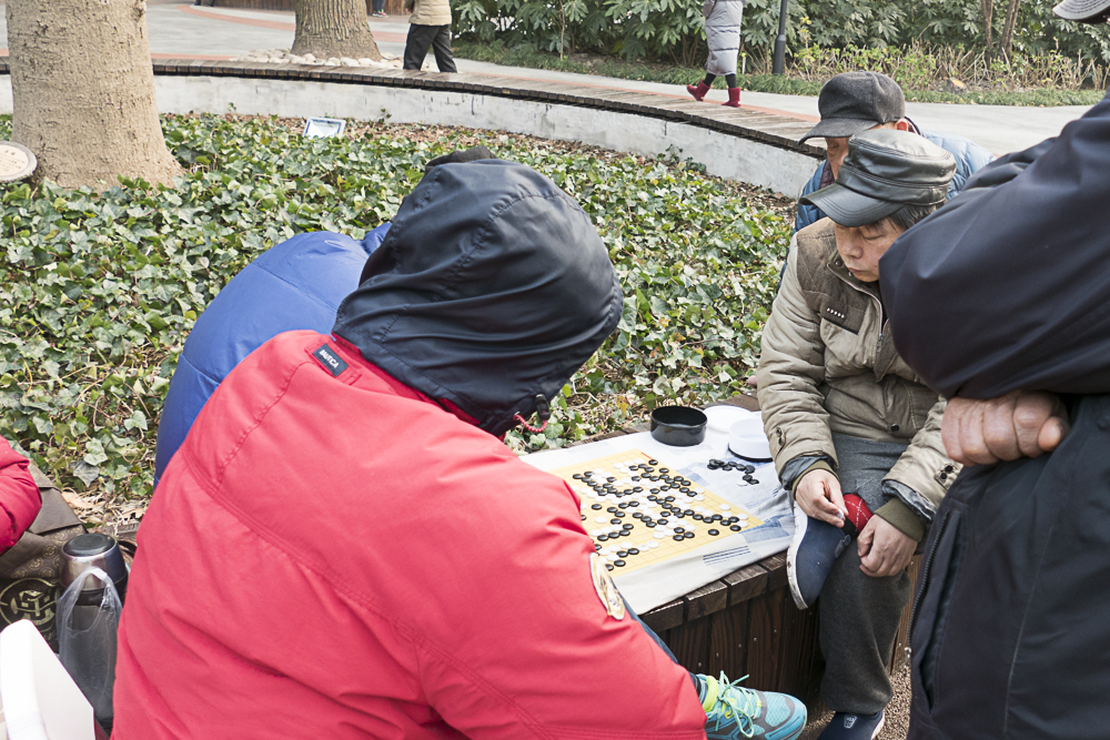 Playing Go