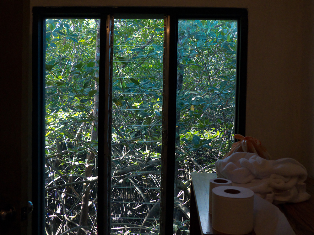 This is the view out of our bathroom at Il Guardino Airbnb. Note there are no curtains and the mangrove swamp view.