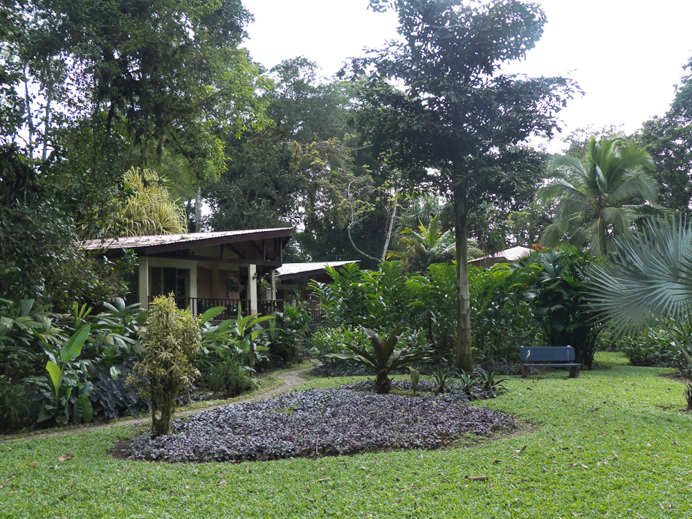 The grounds of our Airbnb at the Heliconia Island