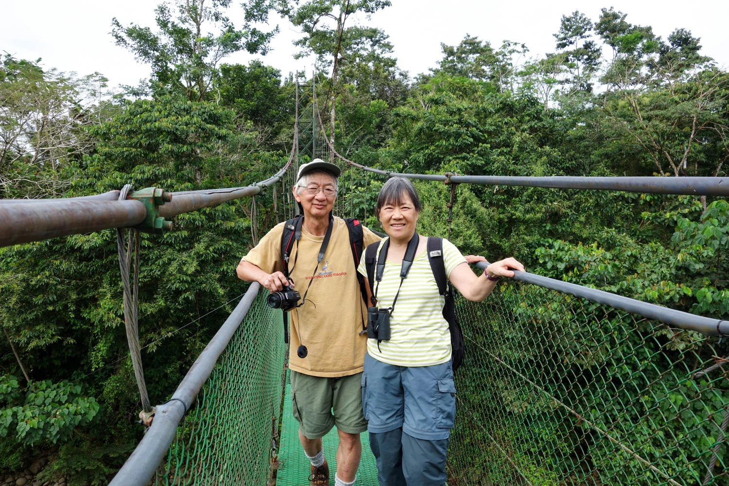 Canopy bridge at the Tirimbina Reserve