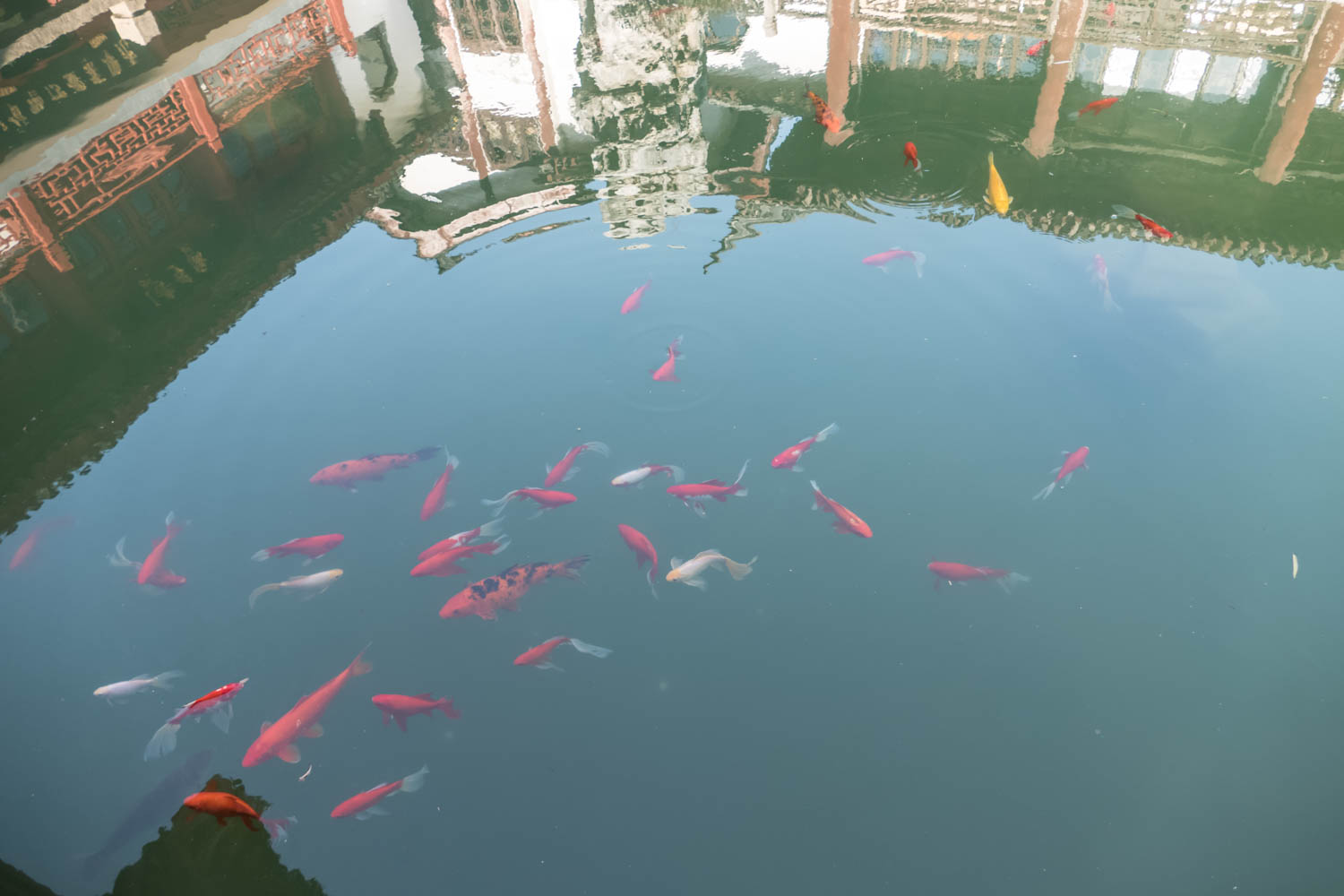 The Confucian Temple
