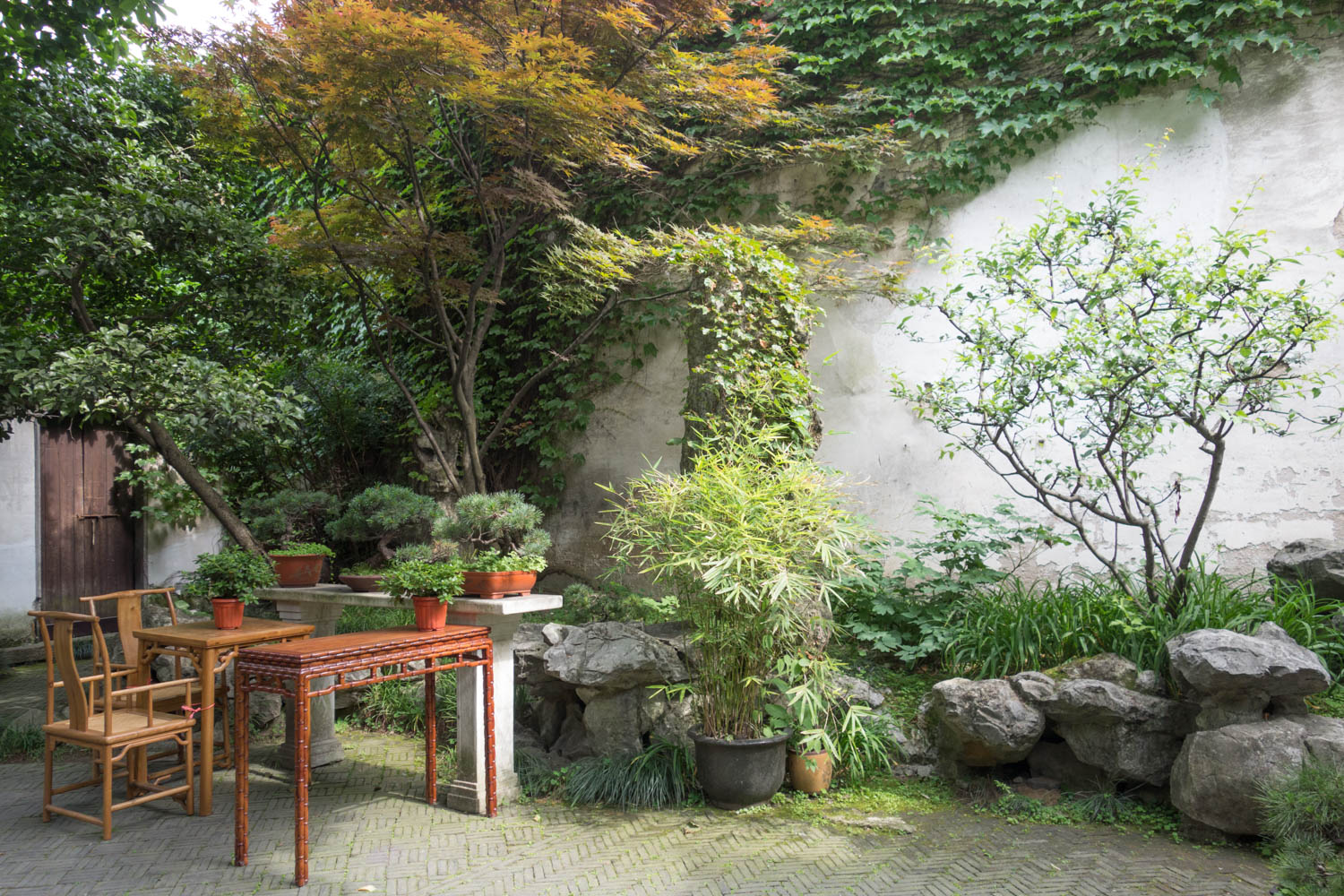 In the Garden of the Master of the Nets