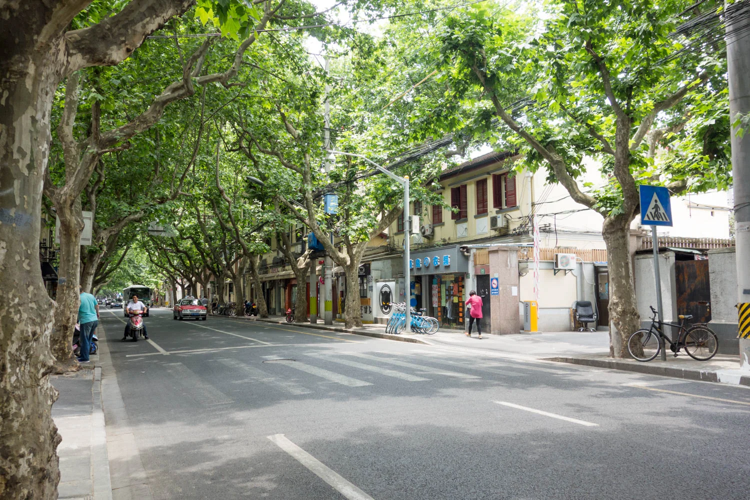 Our street in the spring