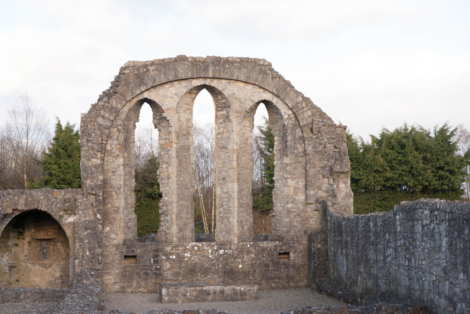 Trim Castle