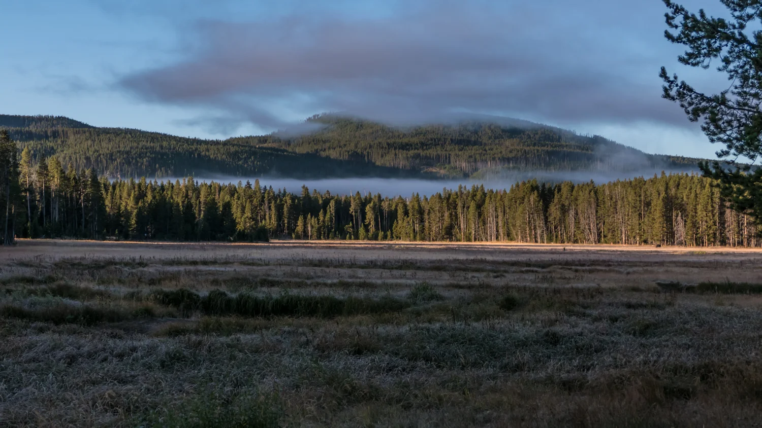 Daybreak at Norris campground on a frosty morning. Temperature was 24 def F this morning