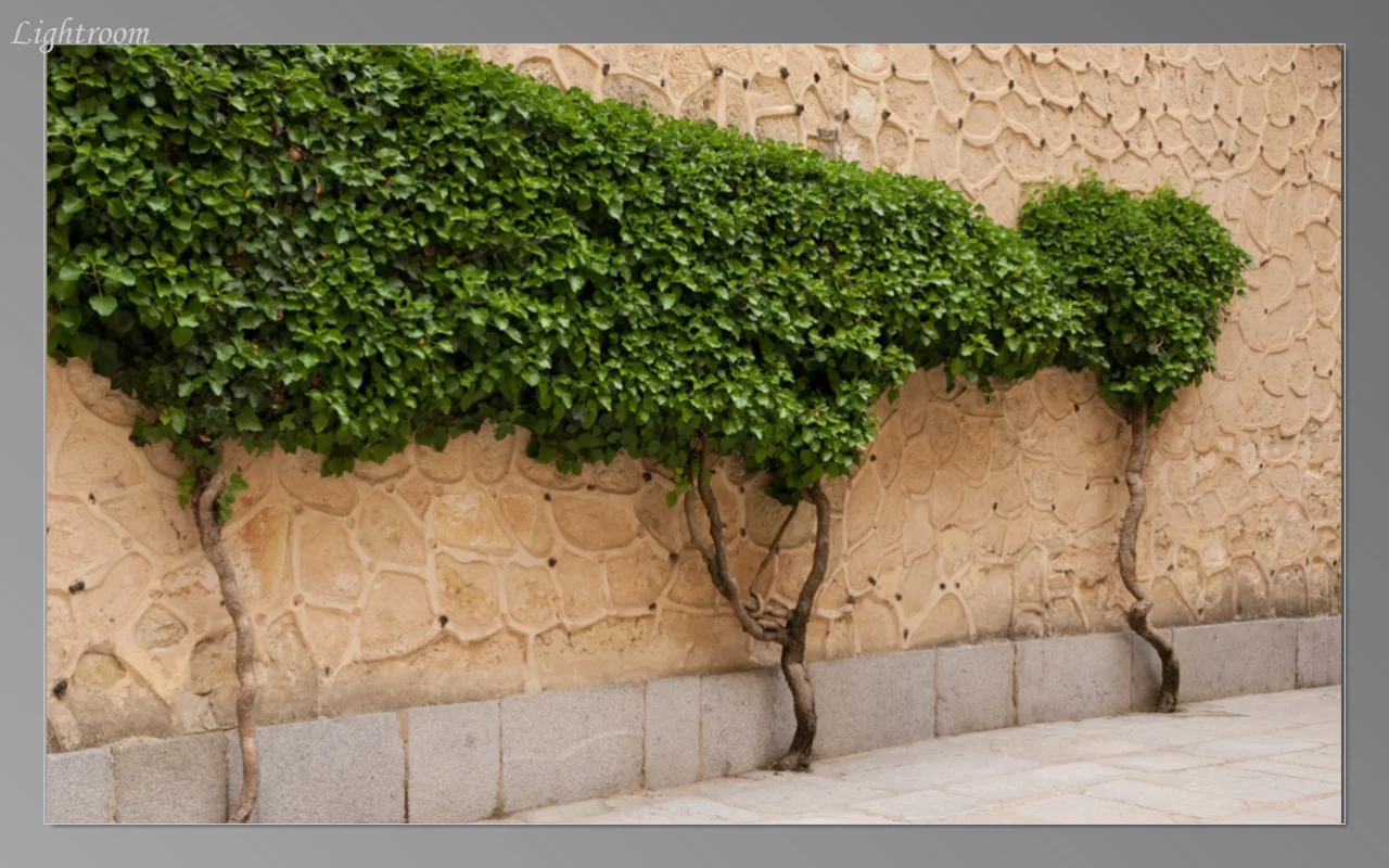 Courtyard of the Alcazar