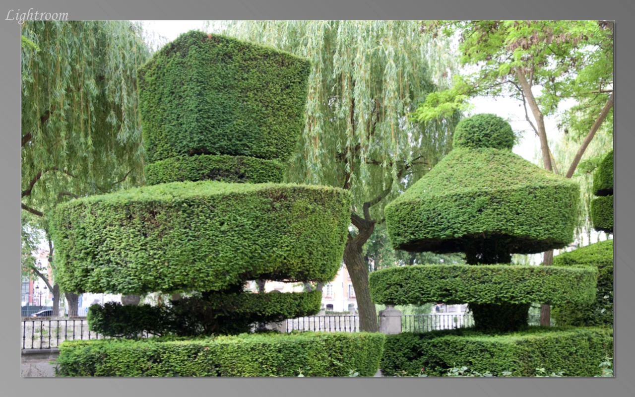 Sculptured trees in Burgos