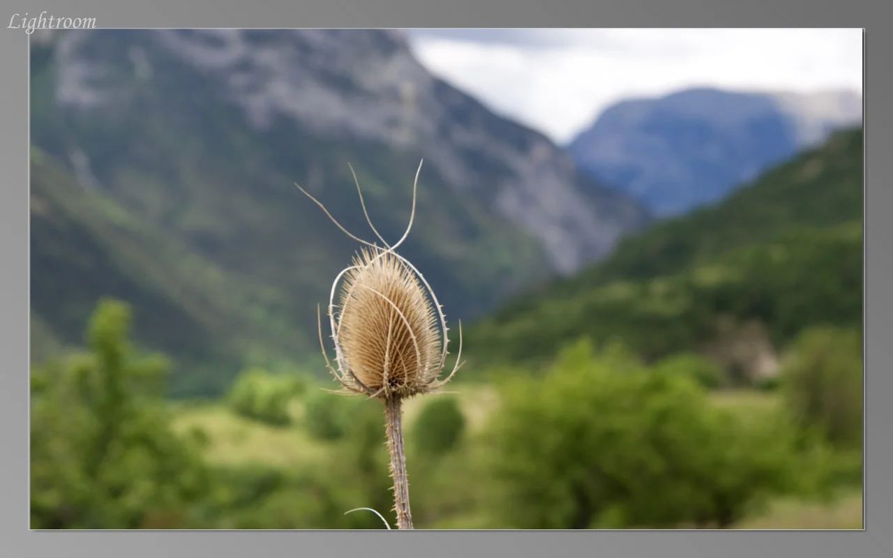 spainB 2012-281.jpeg