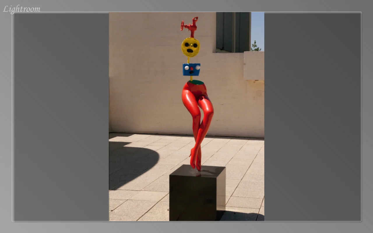 On the rooftop of the Juan Miro Museum