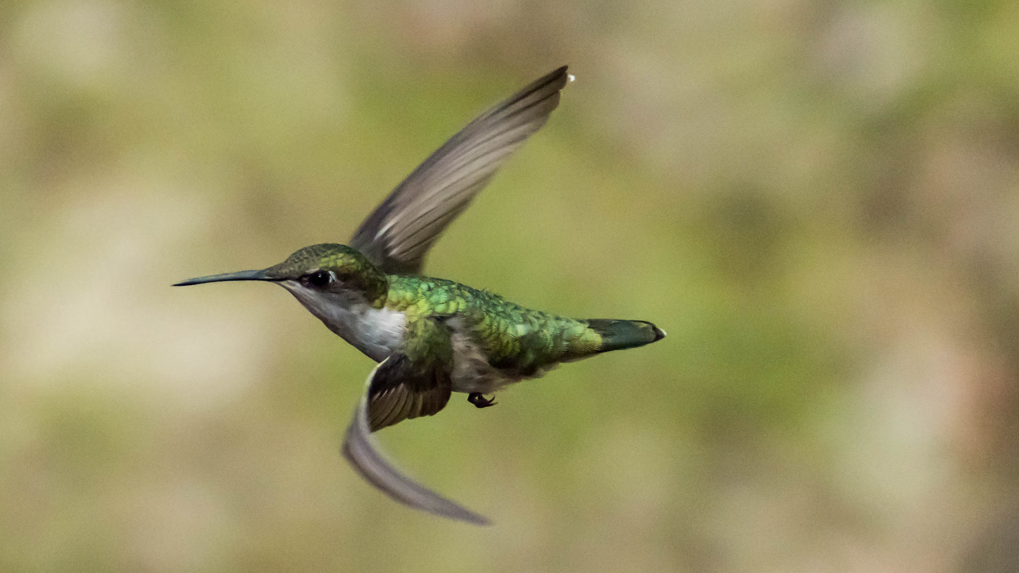 Hummer acrobatics