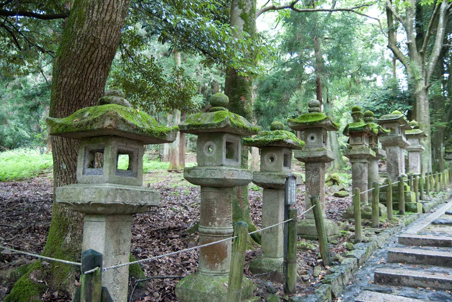 Stone lanterns at Kasuga temple