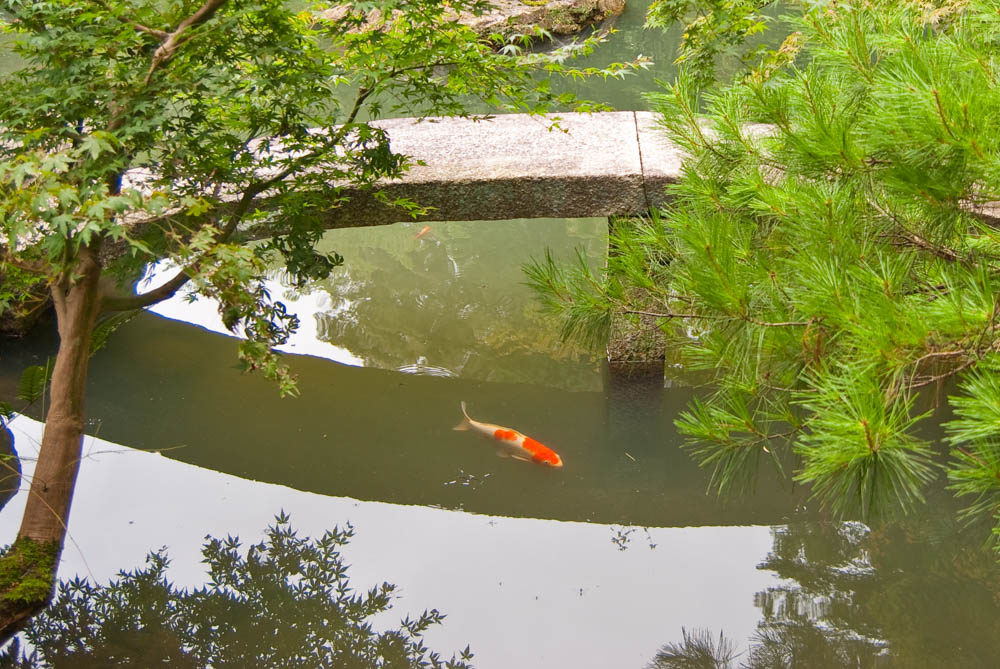 Garden in the Shoren-in temple