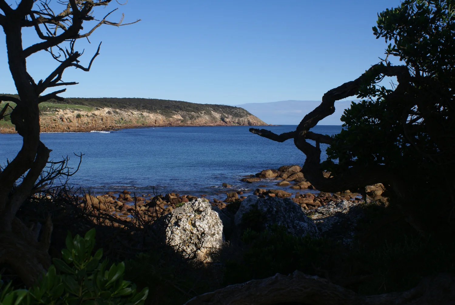 DSC02014.jpg