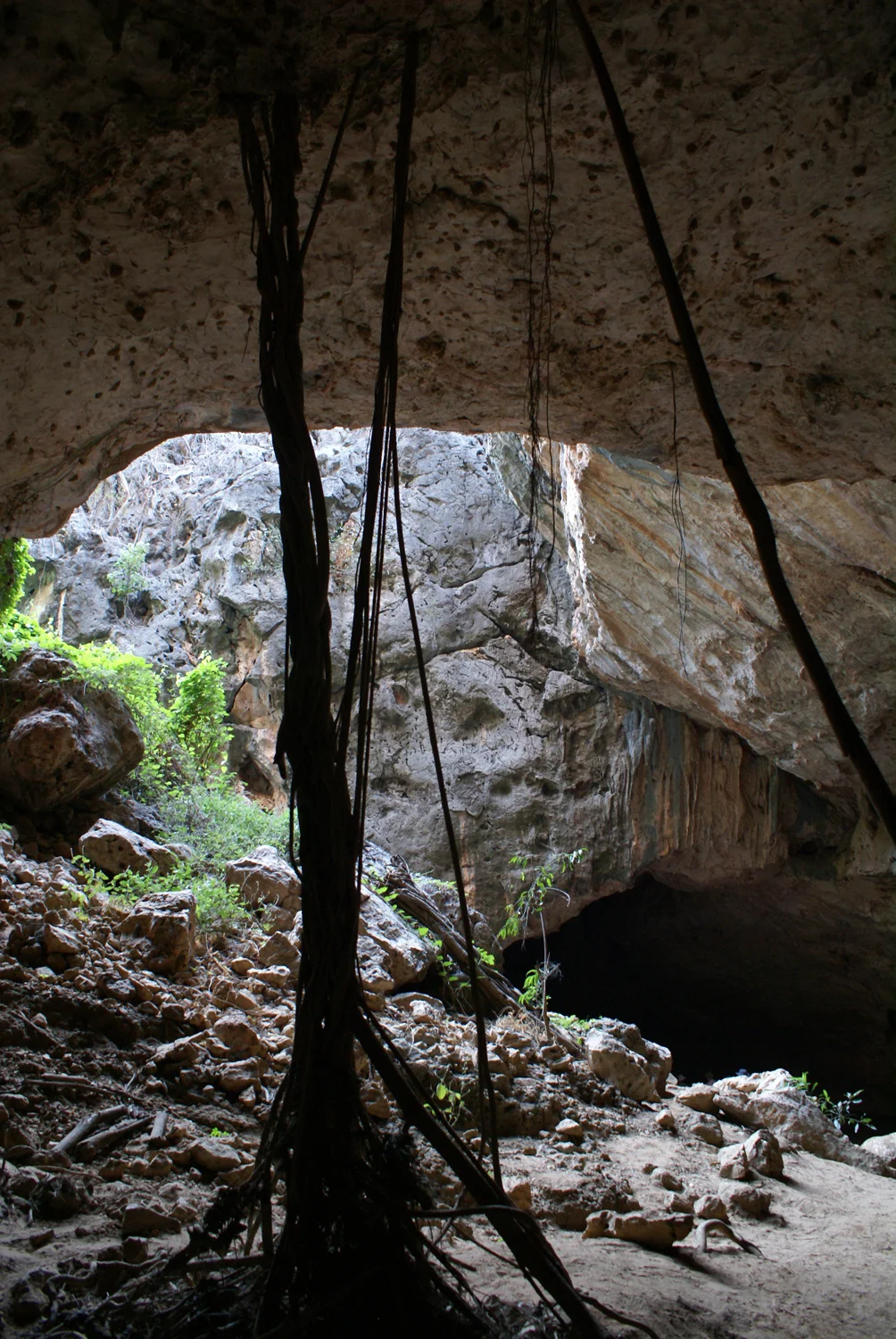 Tunnel Creek