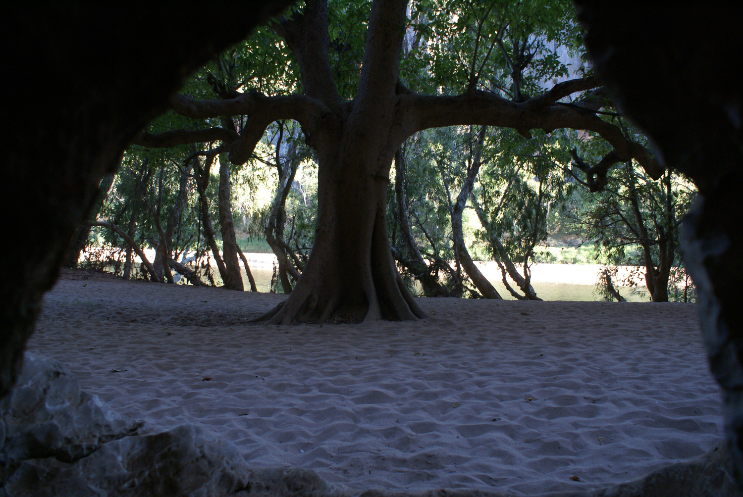 Windjana Gorge