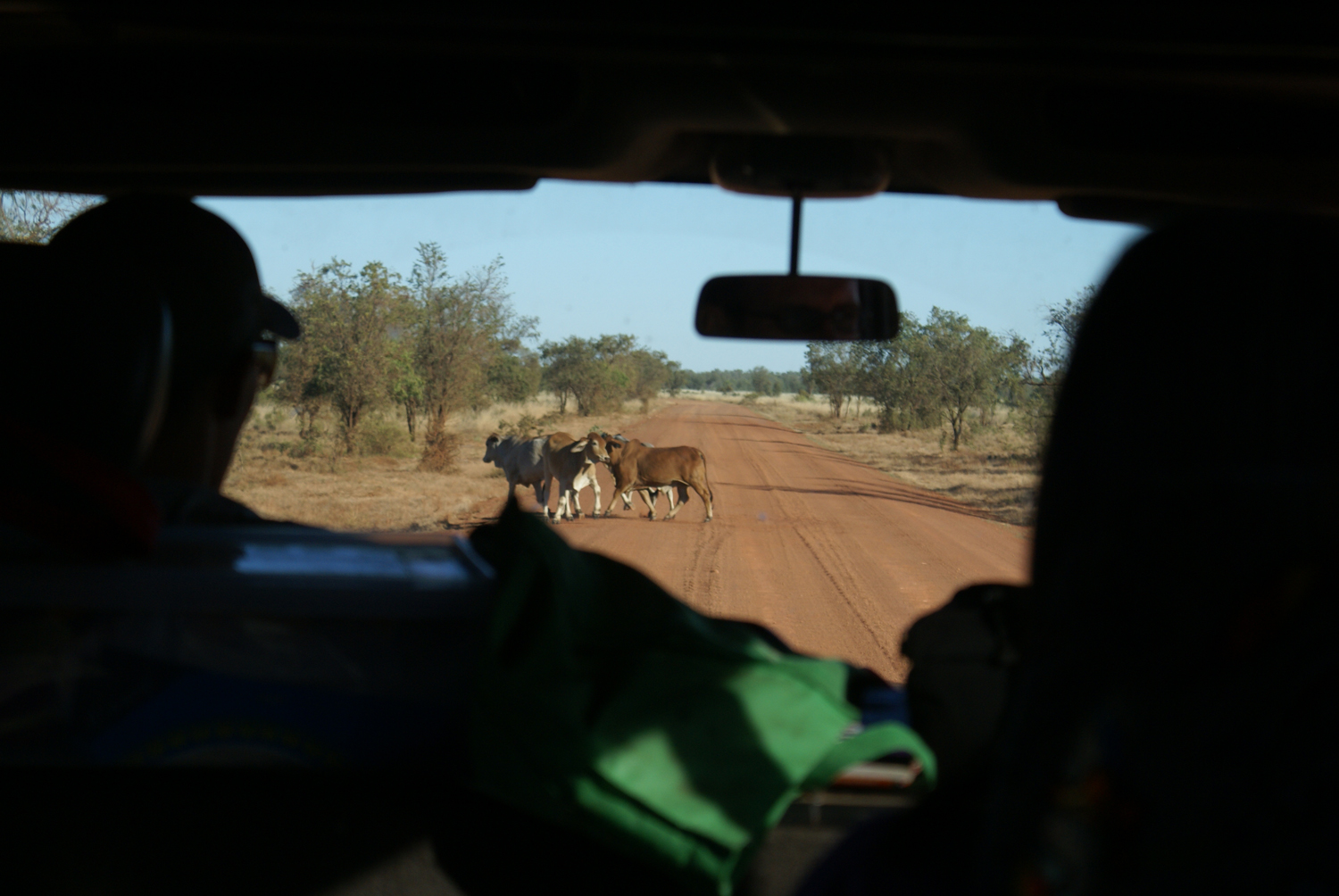 Denizens of Gibb River Road