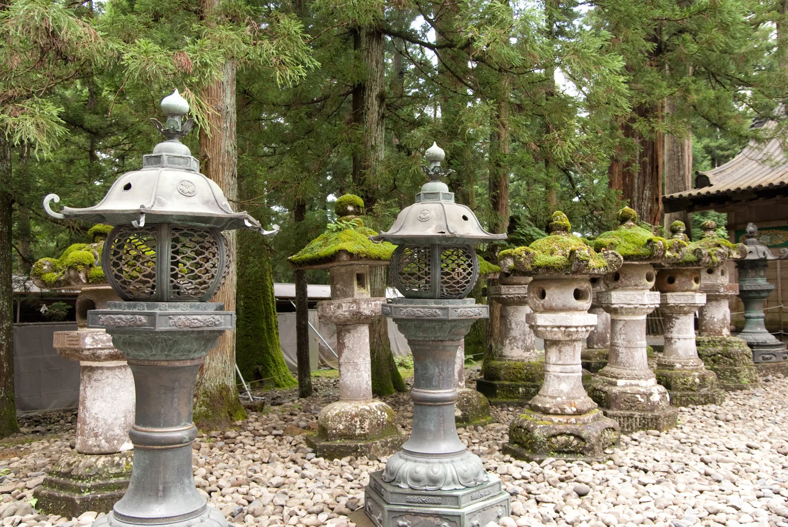 Stone lanterns at the Toshogu shrine