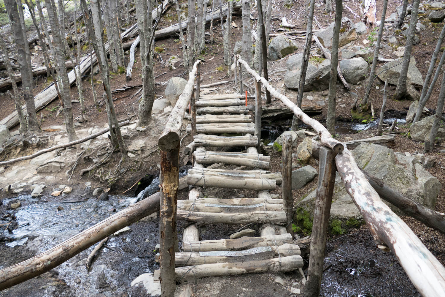 One of many stream crossings