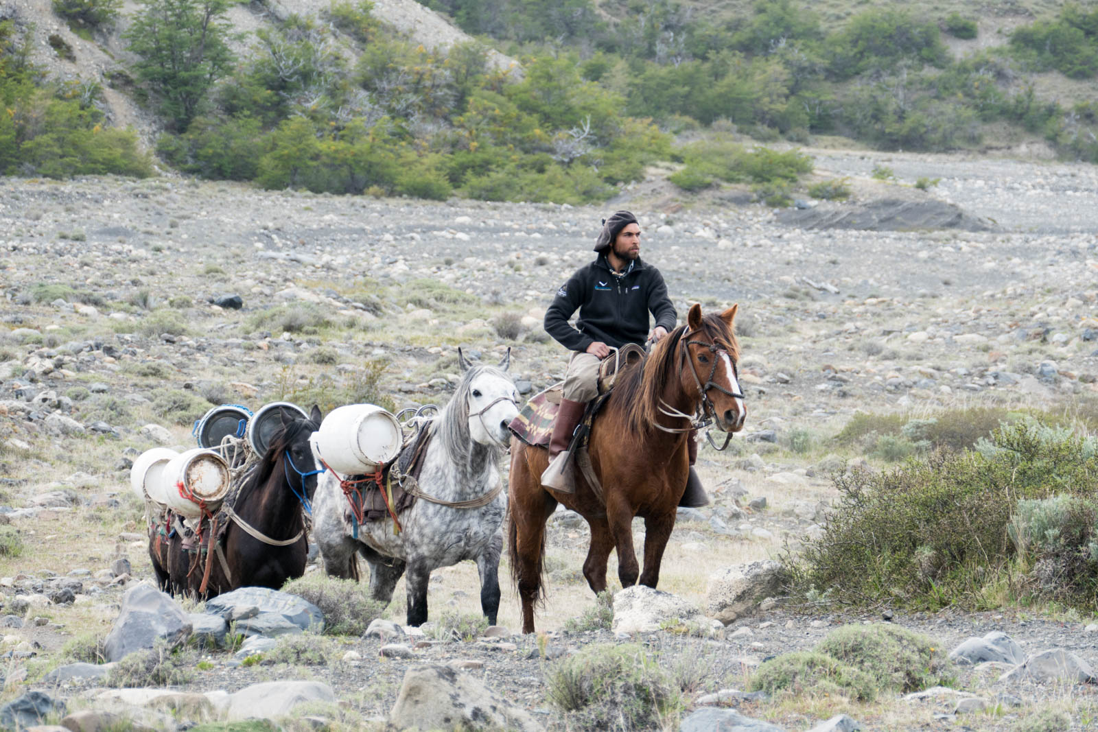 Supply train for the refugio Chileno