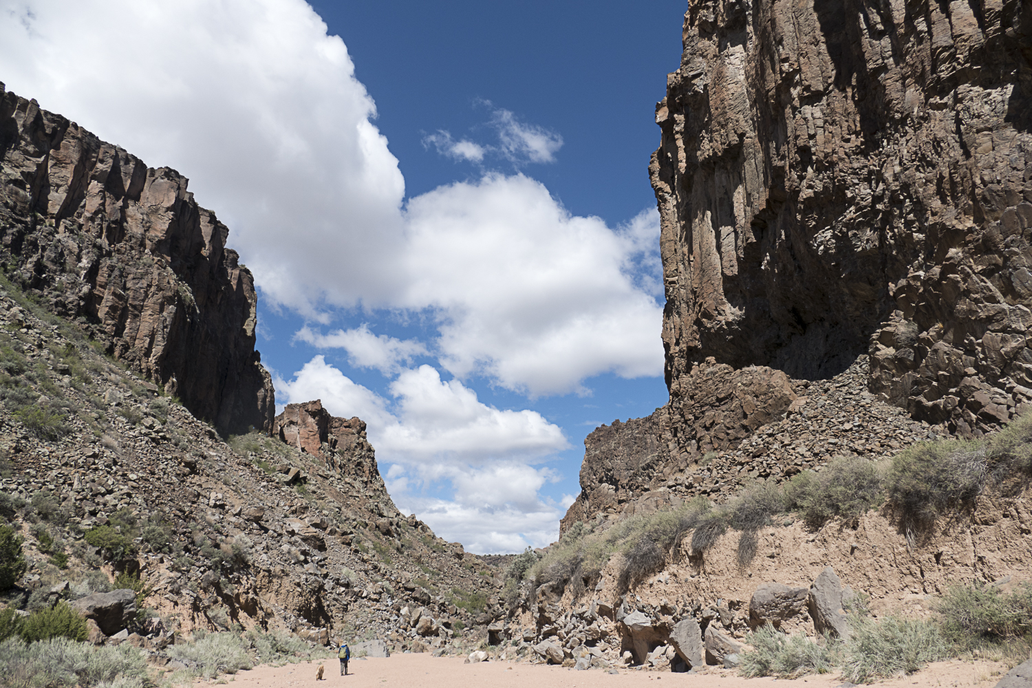 Diablo Canyon