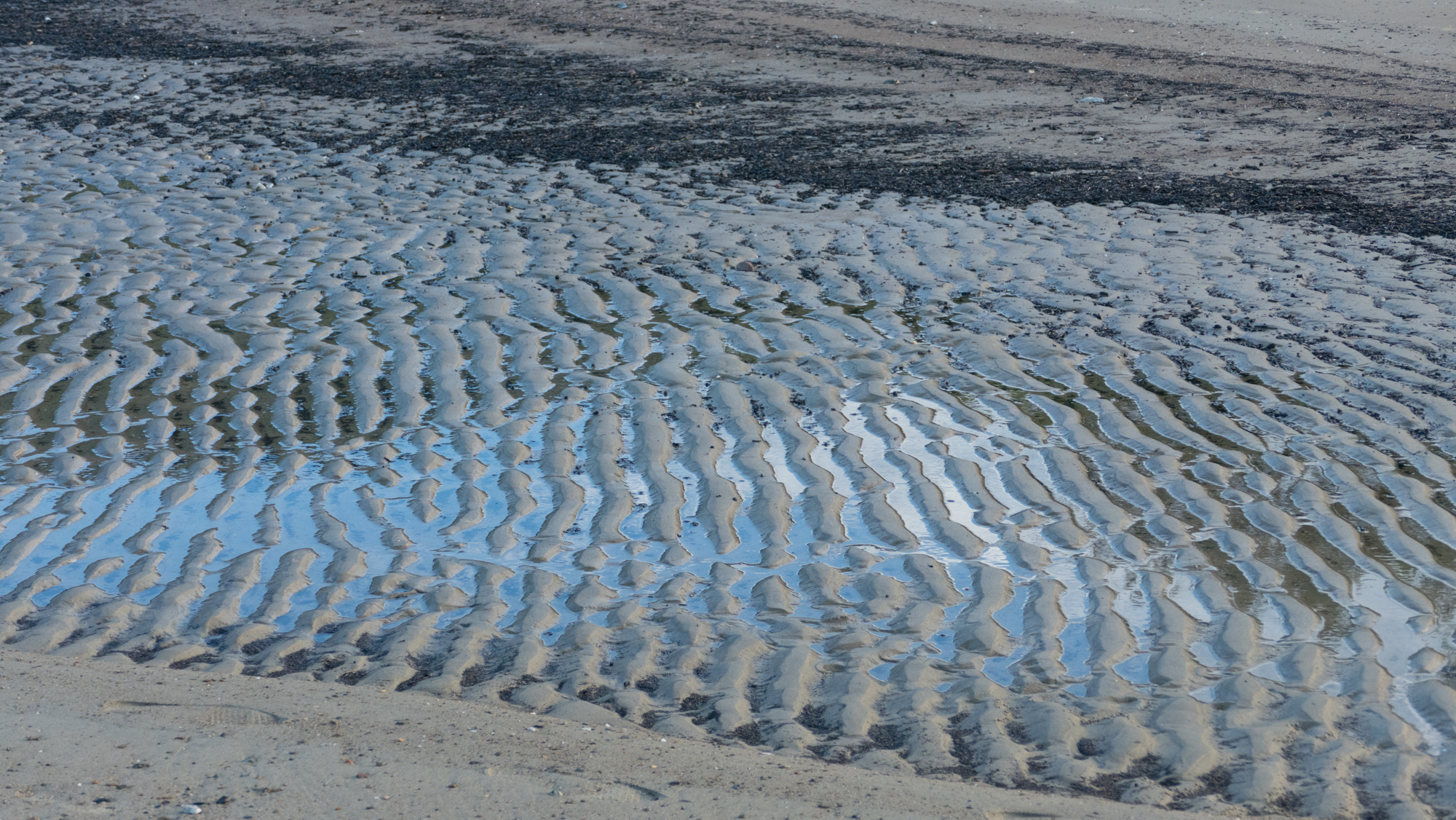Beach art