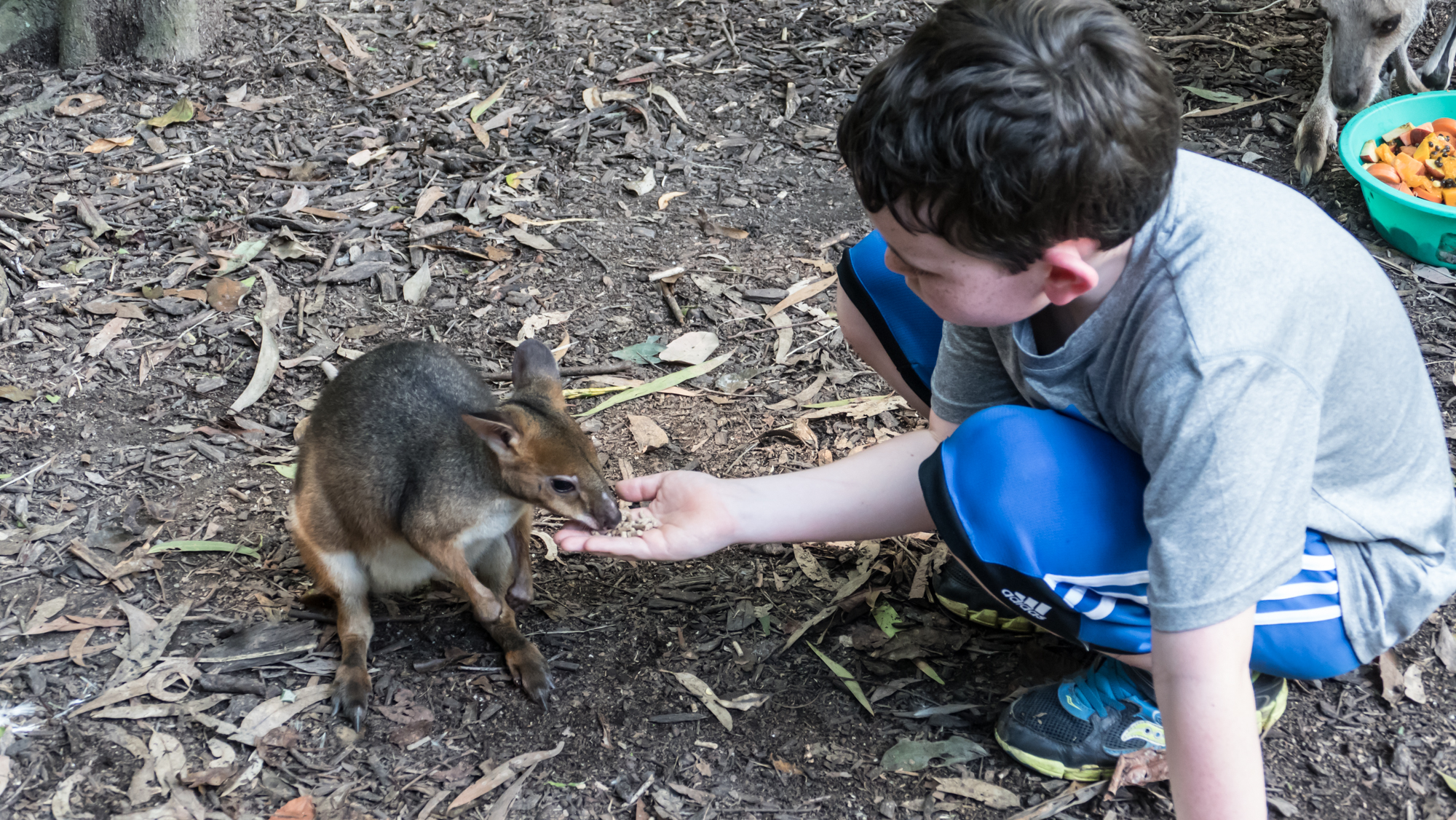 William with friend