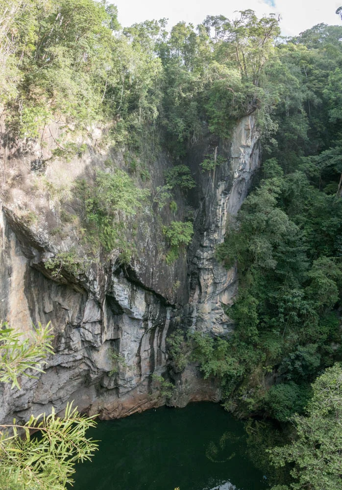 A vertical panorama of the deep volcanic Hypipamee crater in the Atherton Tableland