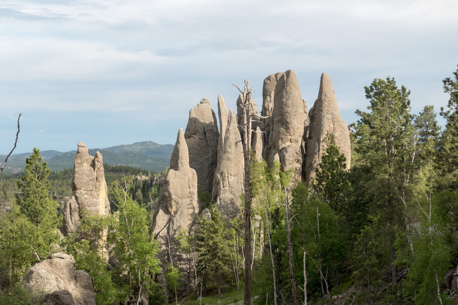 Cathedral spires at sunset