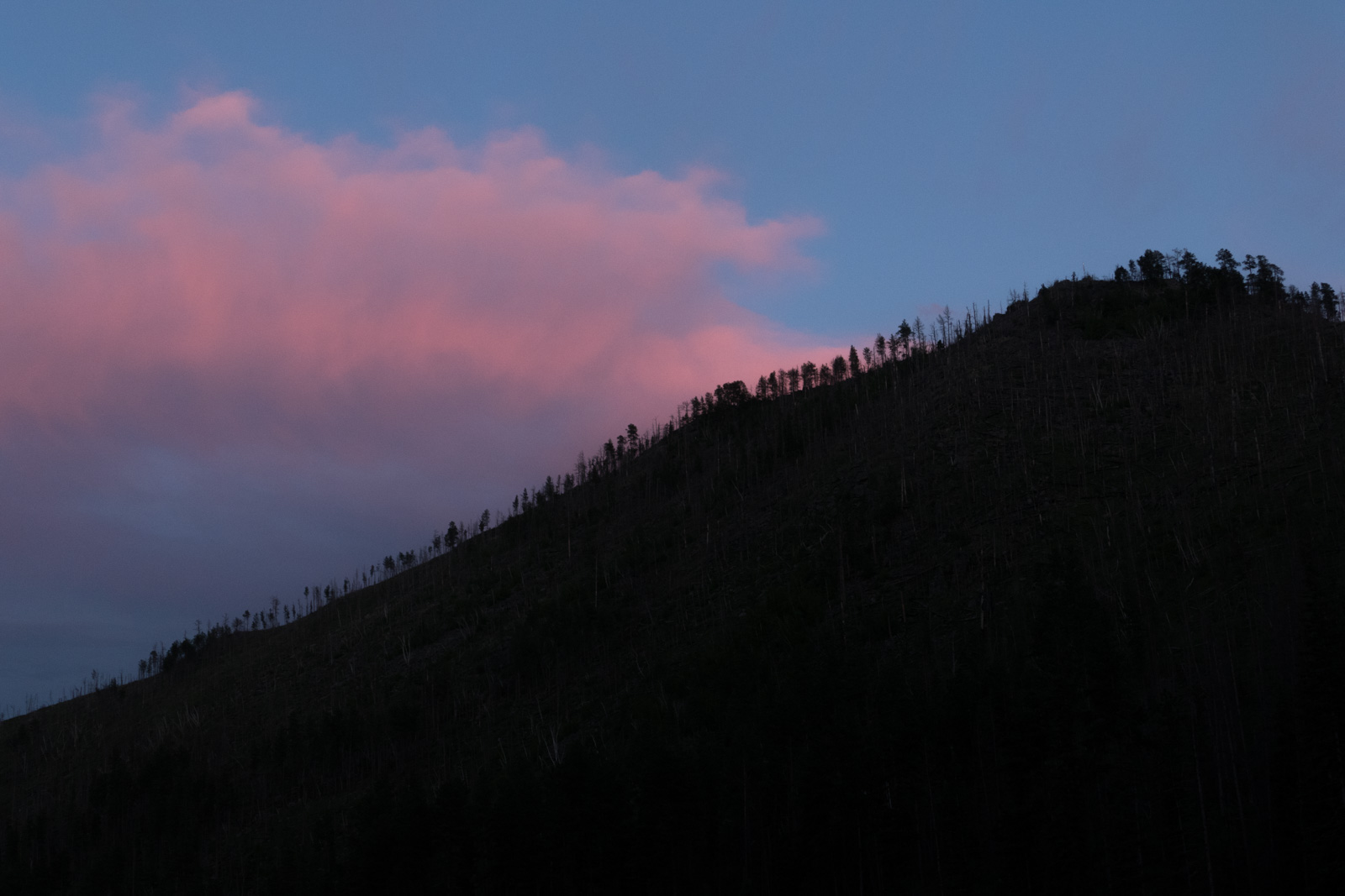 Silhouettes at sunset outside Hill City