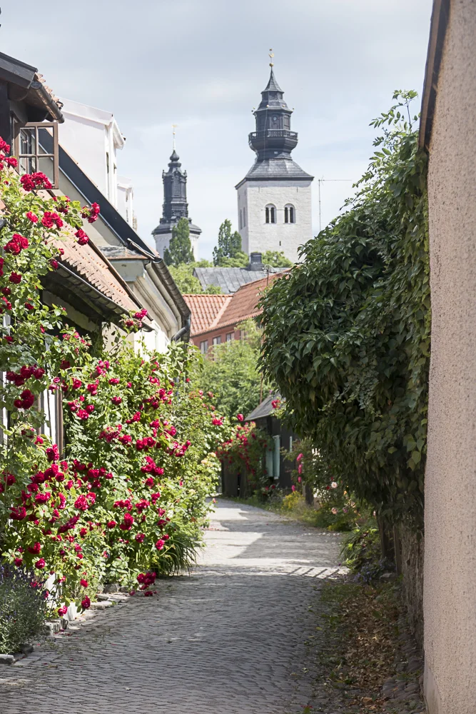 Typical street scene with the Visby Cathedral in the background