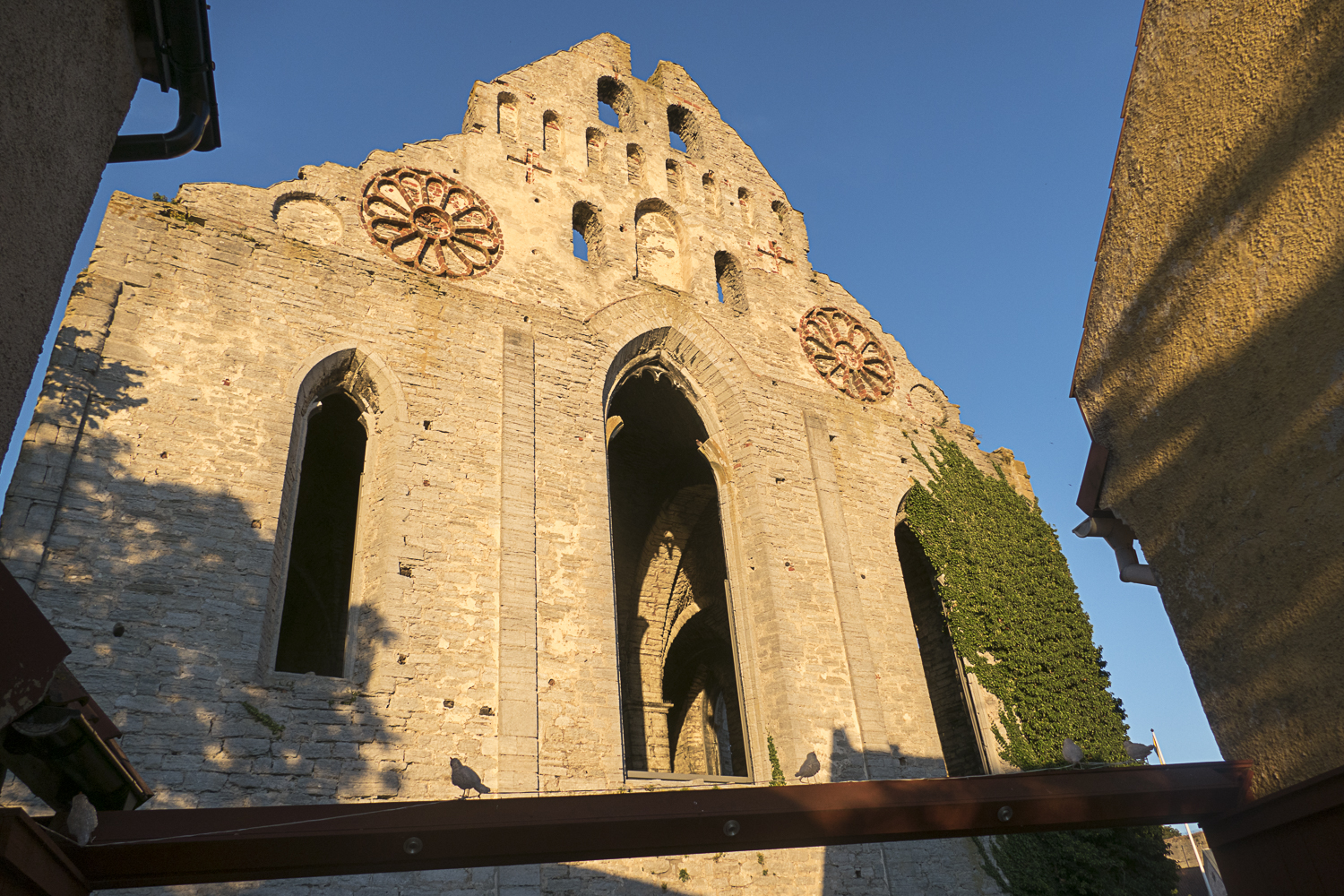 Saint Karin Church ruins in Visby, near the town square in Visby