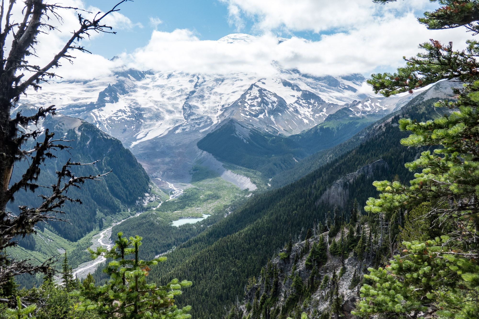 Northeast face of Mt. Ranier and the White River canyon