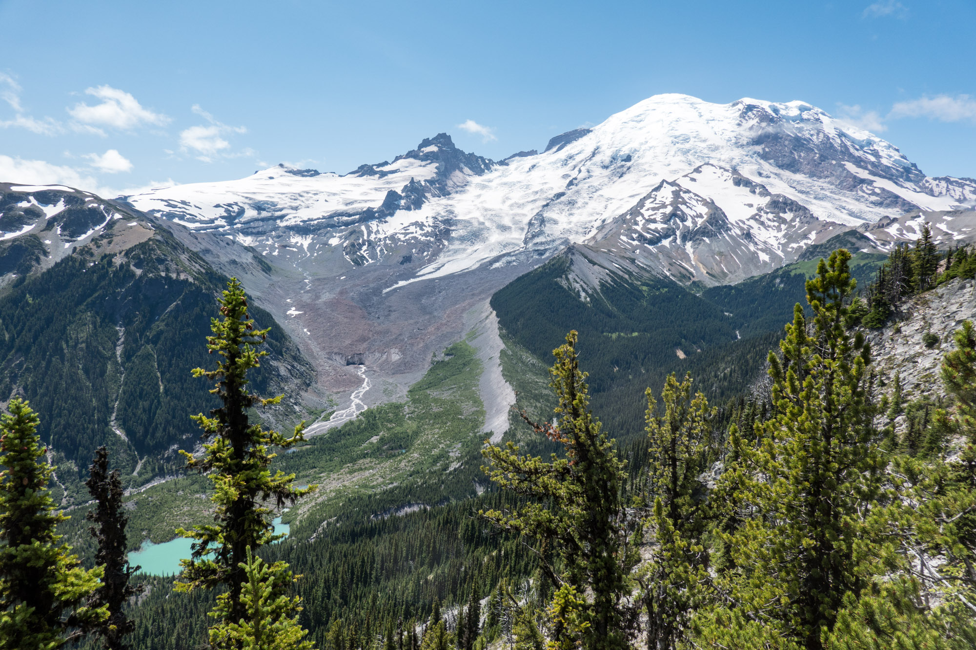 Northeast face of Mt. Ranier from Emmons Vista