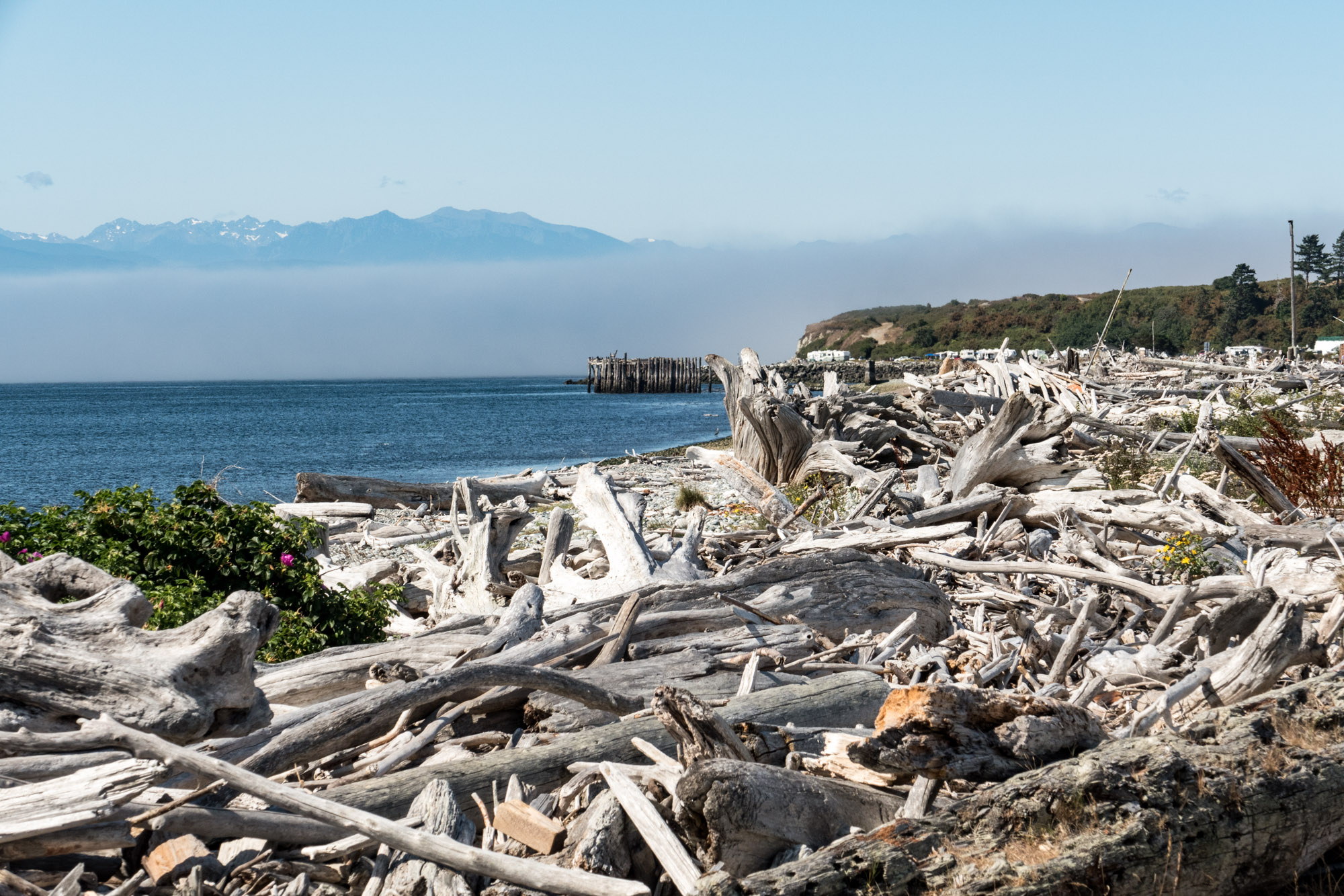 Driftwood city