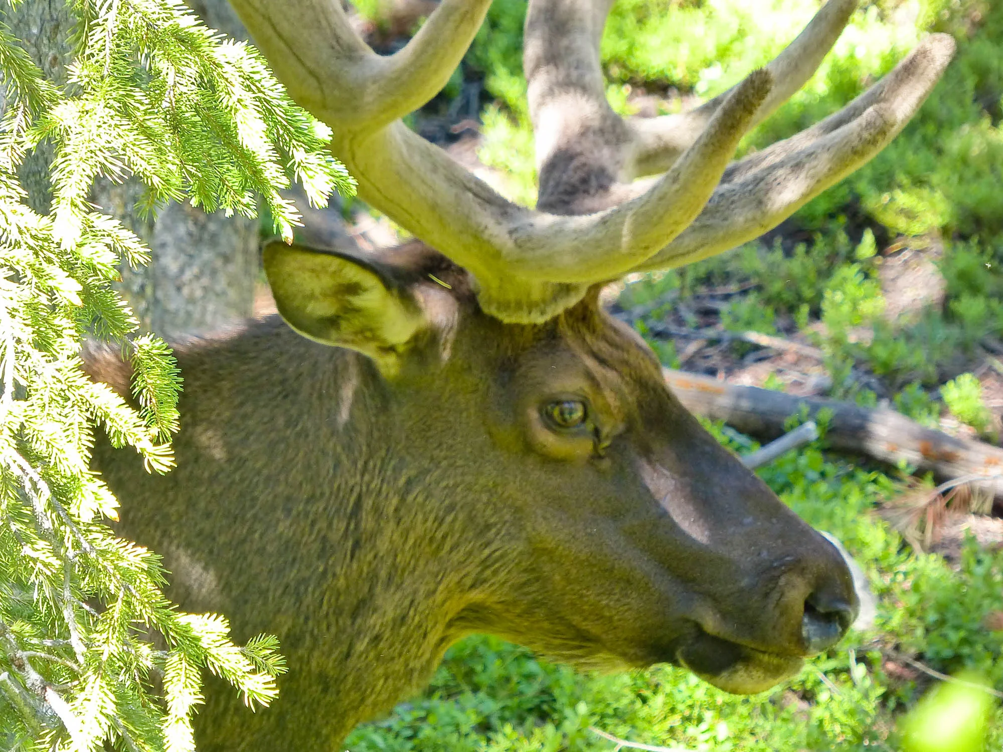 Rocky Mountain National Park