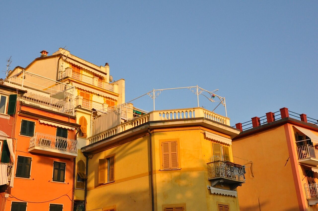 Charlotte Gordon Site.jpeg