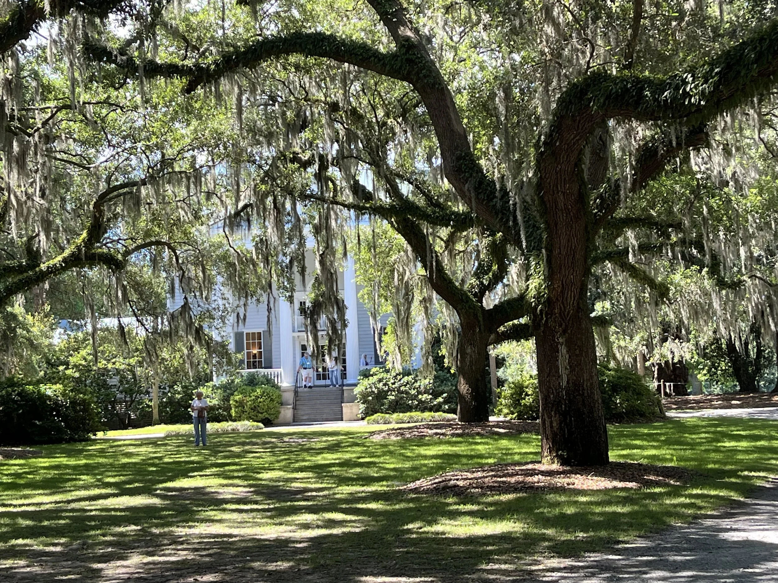   Magnolia plantation. Frances was appalled at the luxury that former enslavers had enjoyed.  