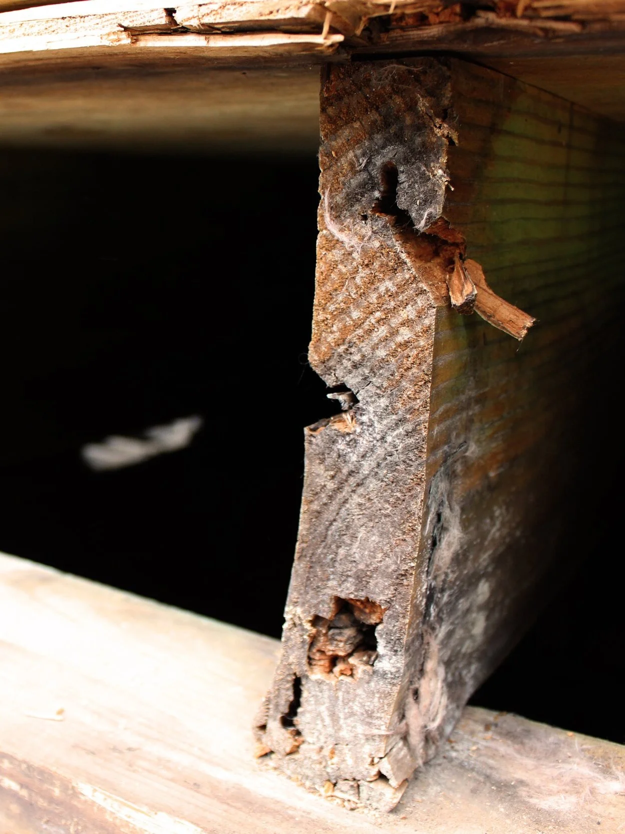 Foundation Repair Makeovers & Transformations - Wolfe Construction Group