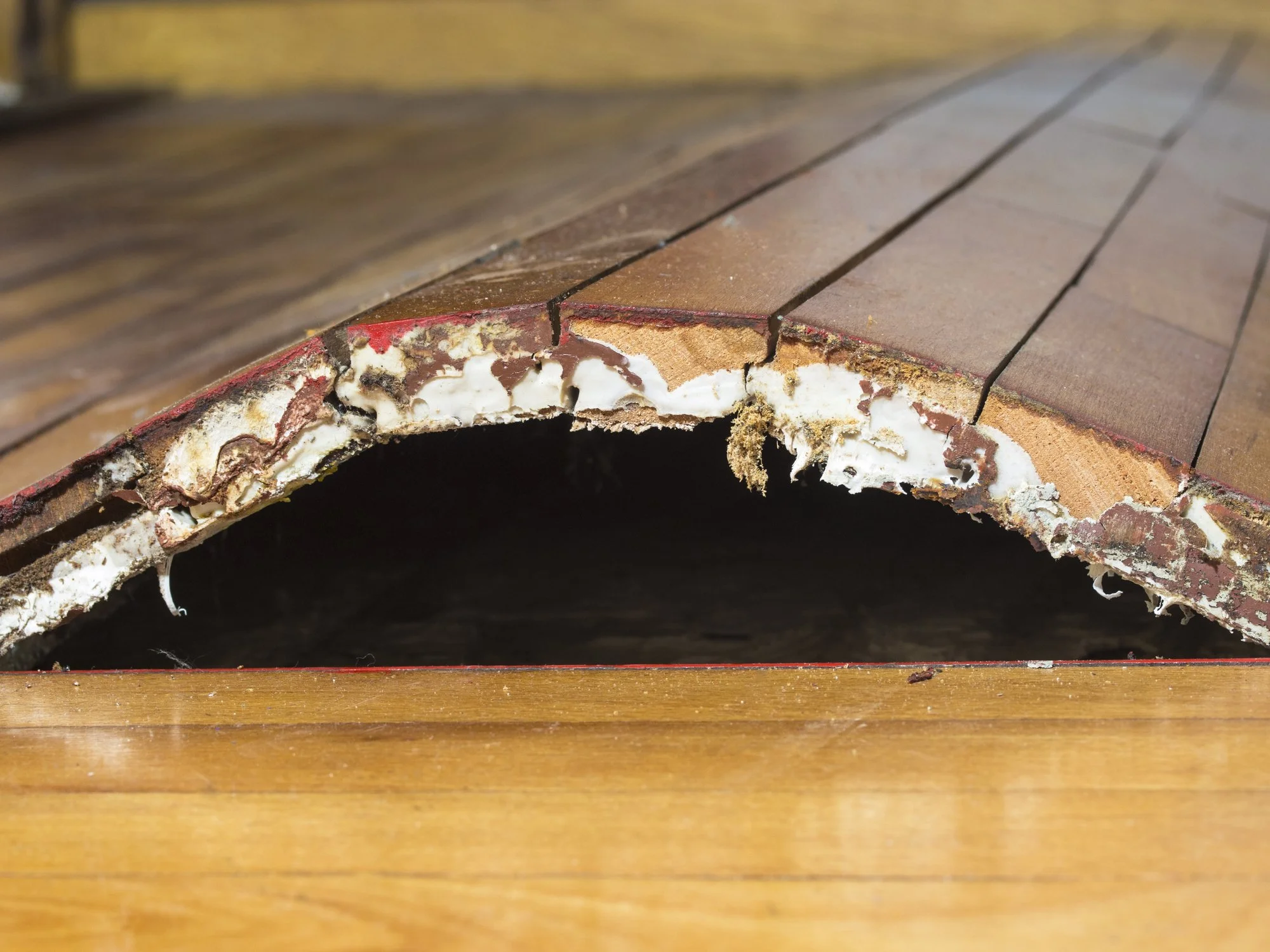 Wood Moisture Content: Why Your House Might Be Sweating Behind Your Back