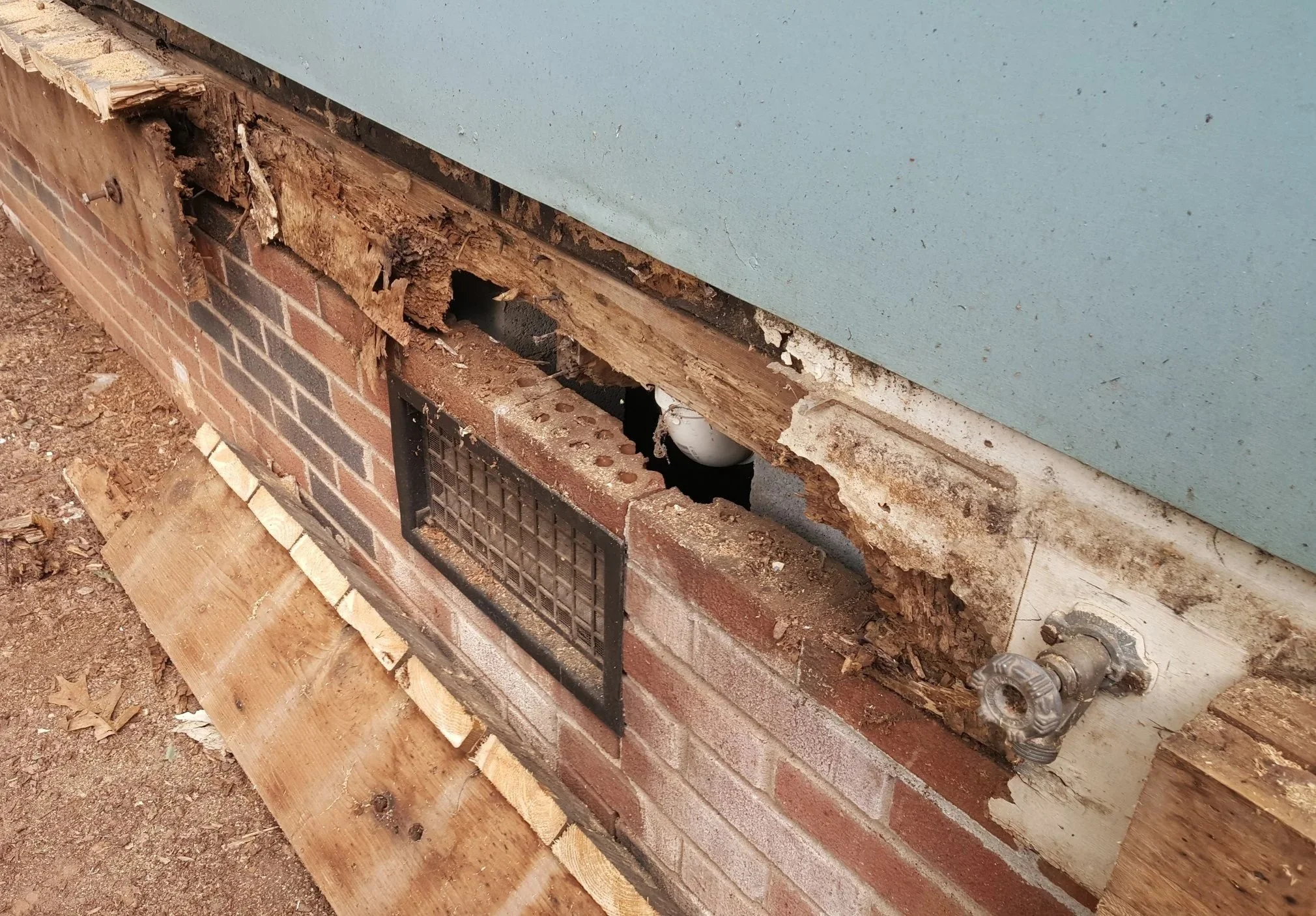WOOD ROT