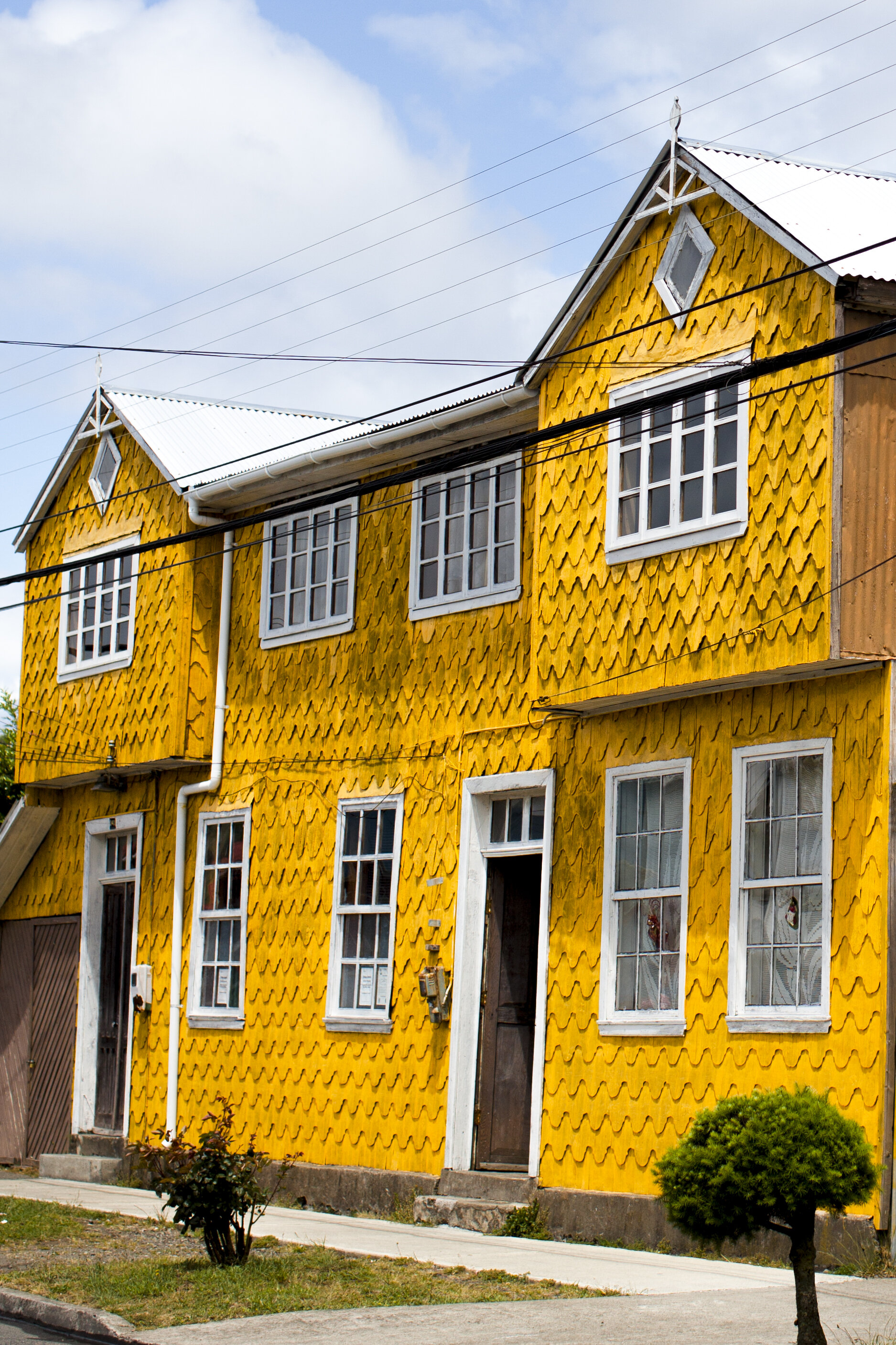yellow house with tree.jpg
