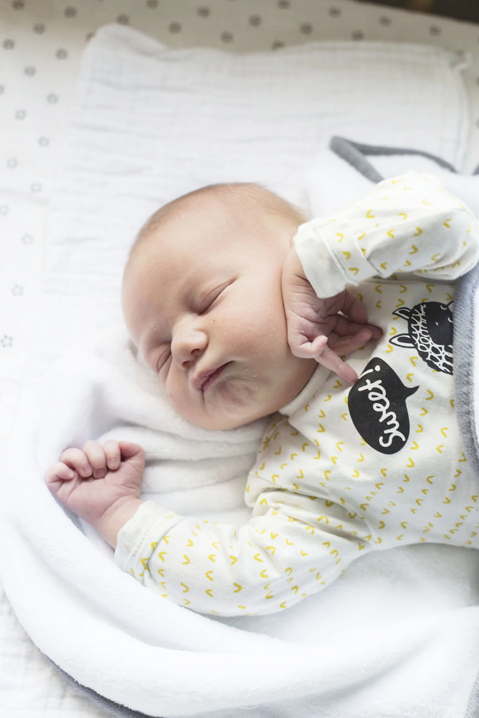 newborn shoot de meern