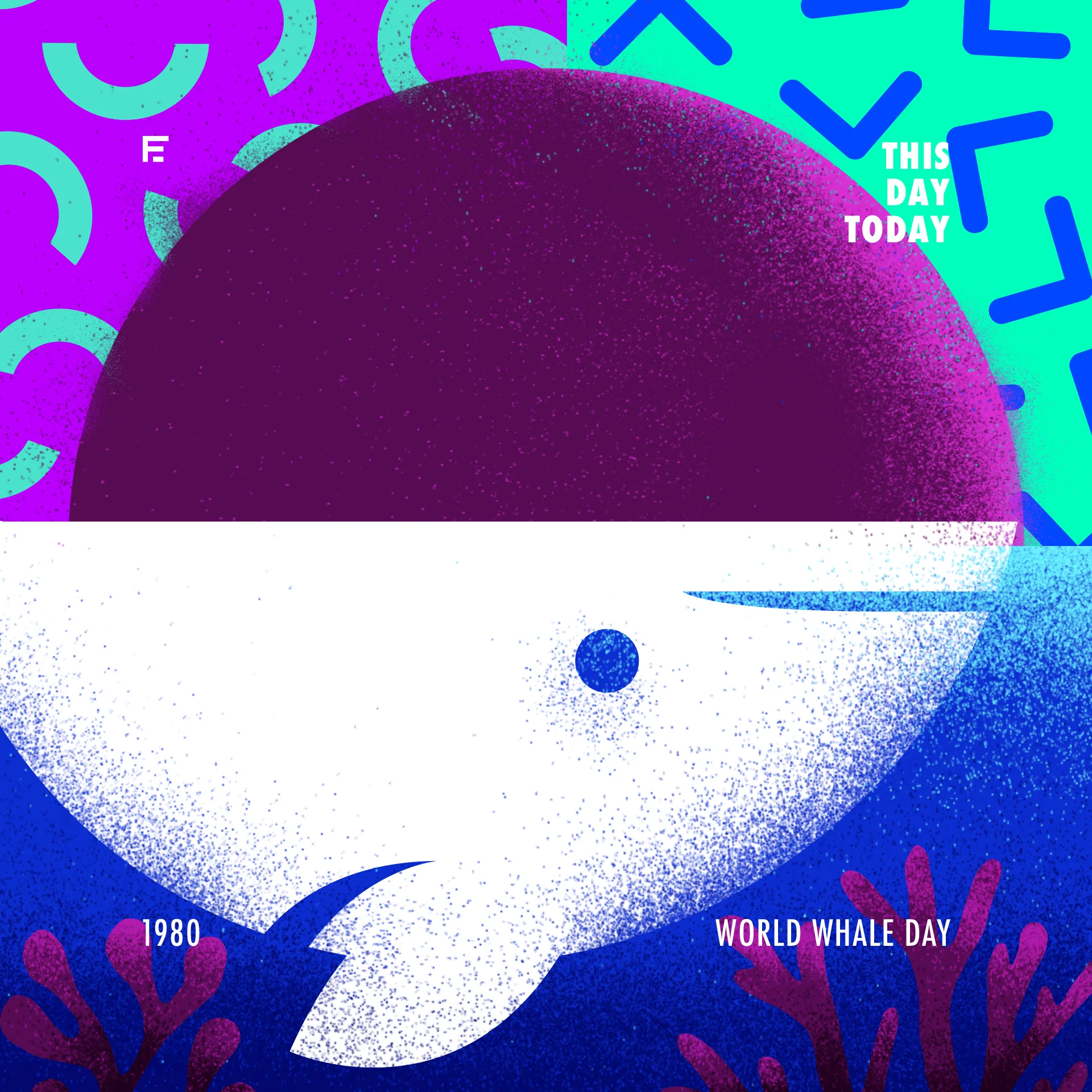 TDT_0213.jpg