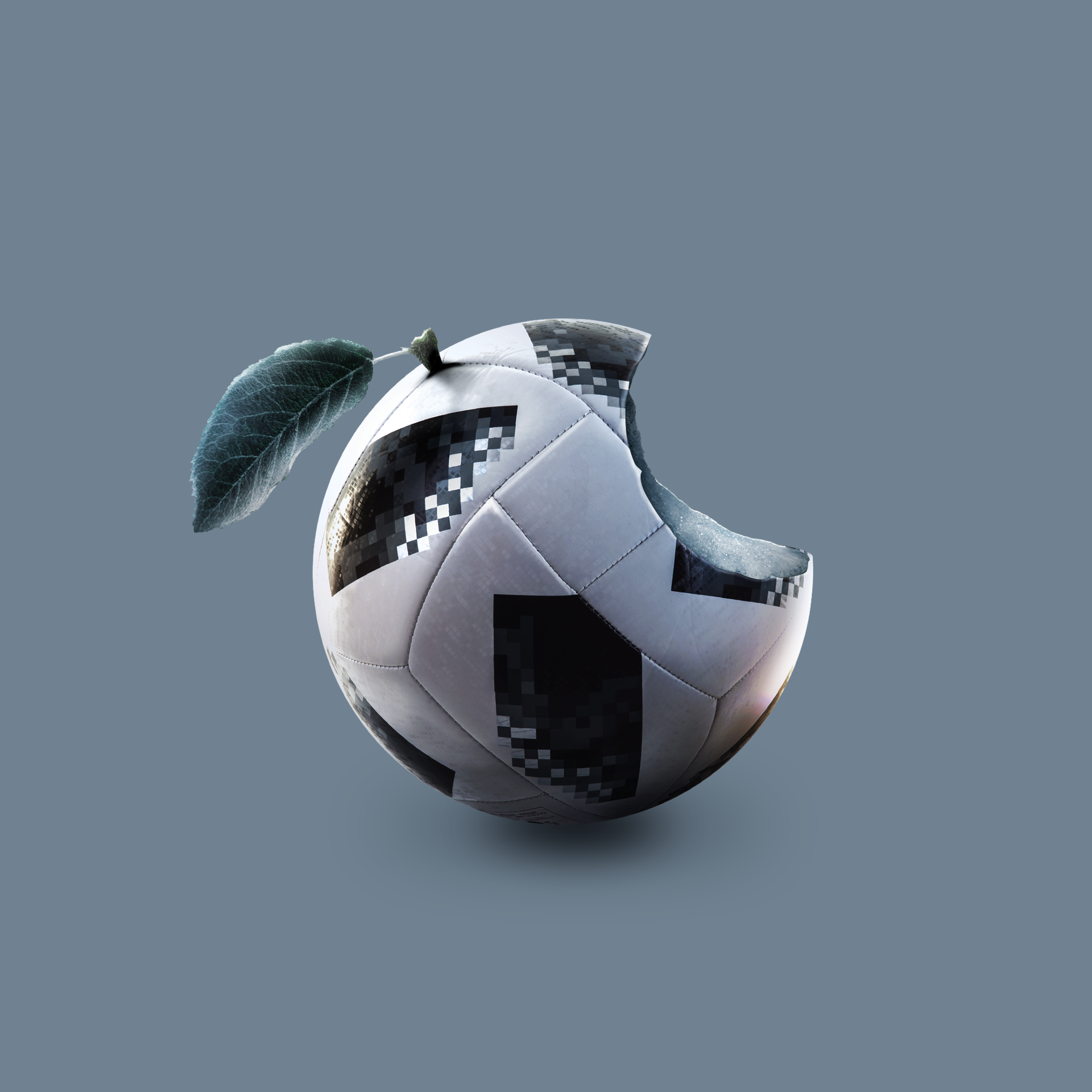 TDT_0404_2gif.gif